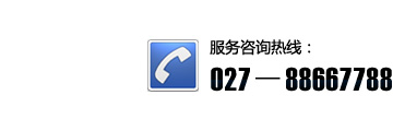 微信號/電話